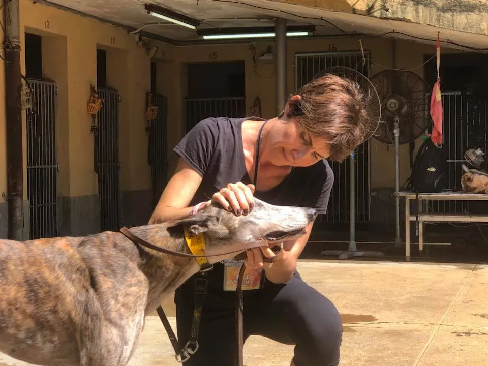 41801818 2193117977644370 1497861645387431936 n