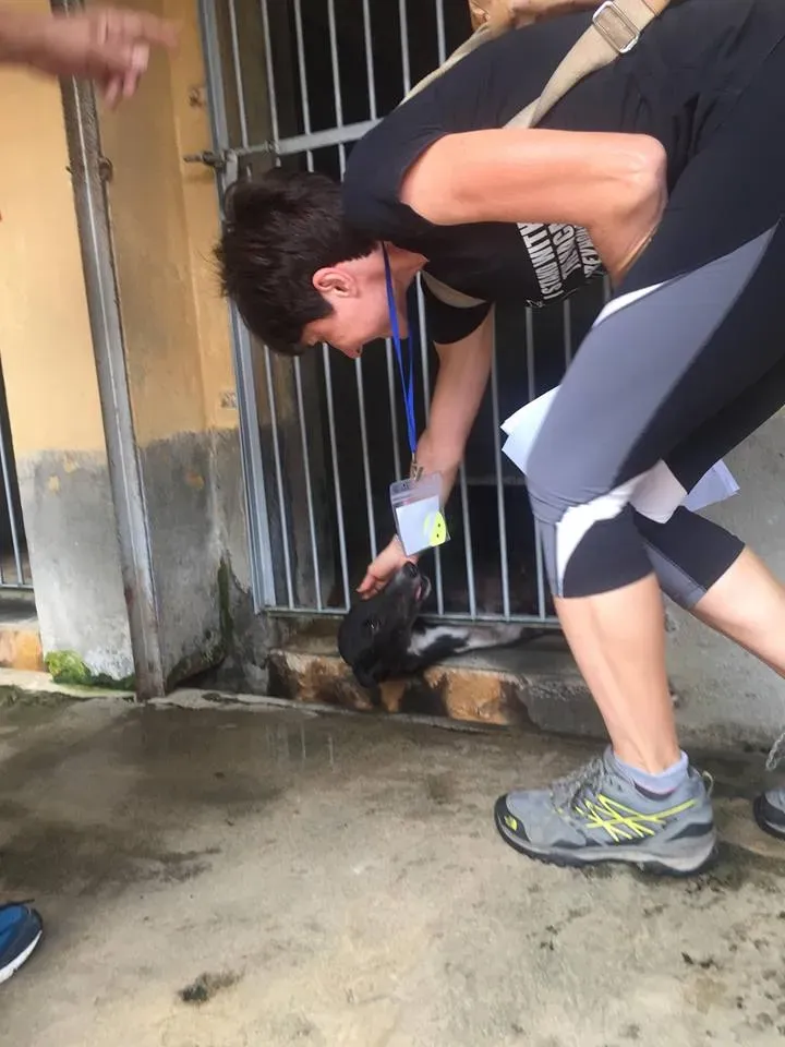 41803403 1895478910535955 378739566305083392 n