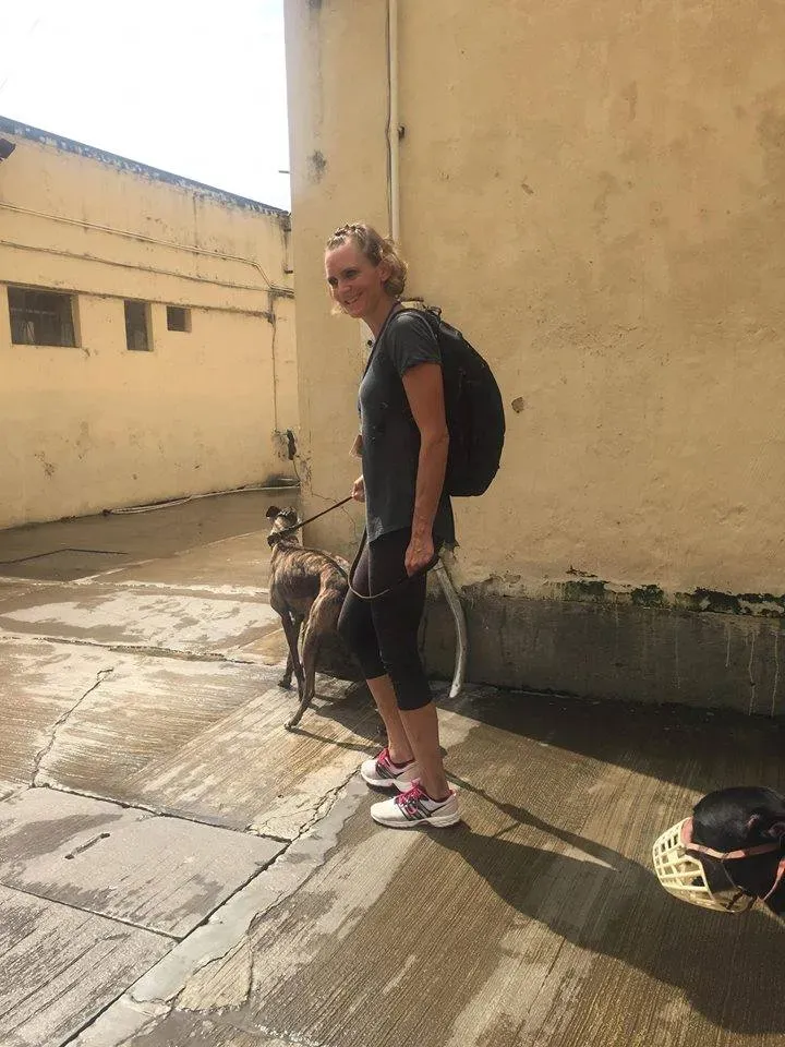 41824639 1895480283869151 4102065578703847424 n