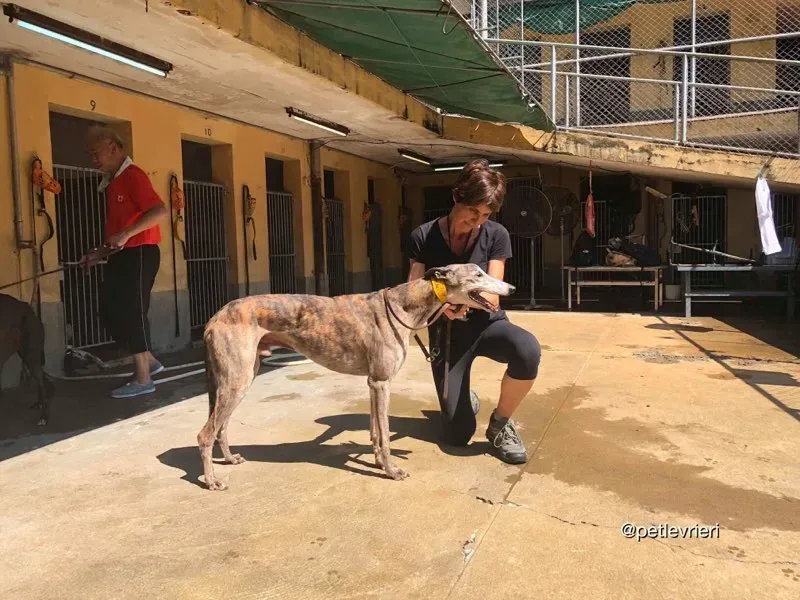 41831238 327744314453575 5431798921108127744 n