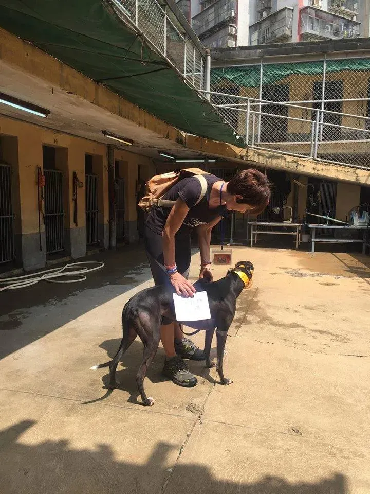 41846258 1895479117202601 6056006614387785728 n