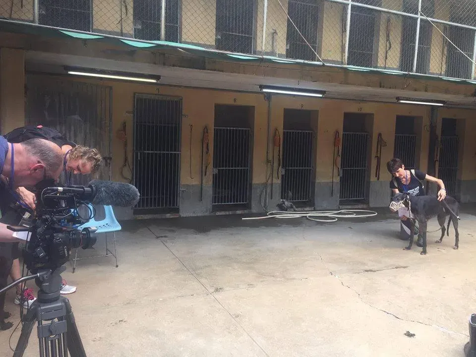 41849335 1895479787202534 7613006733920698368 n