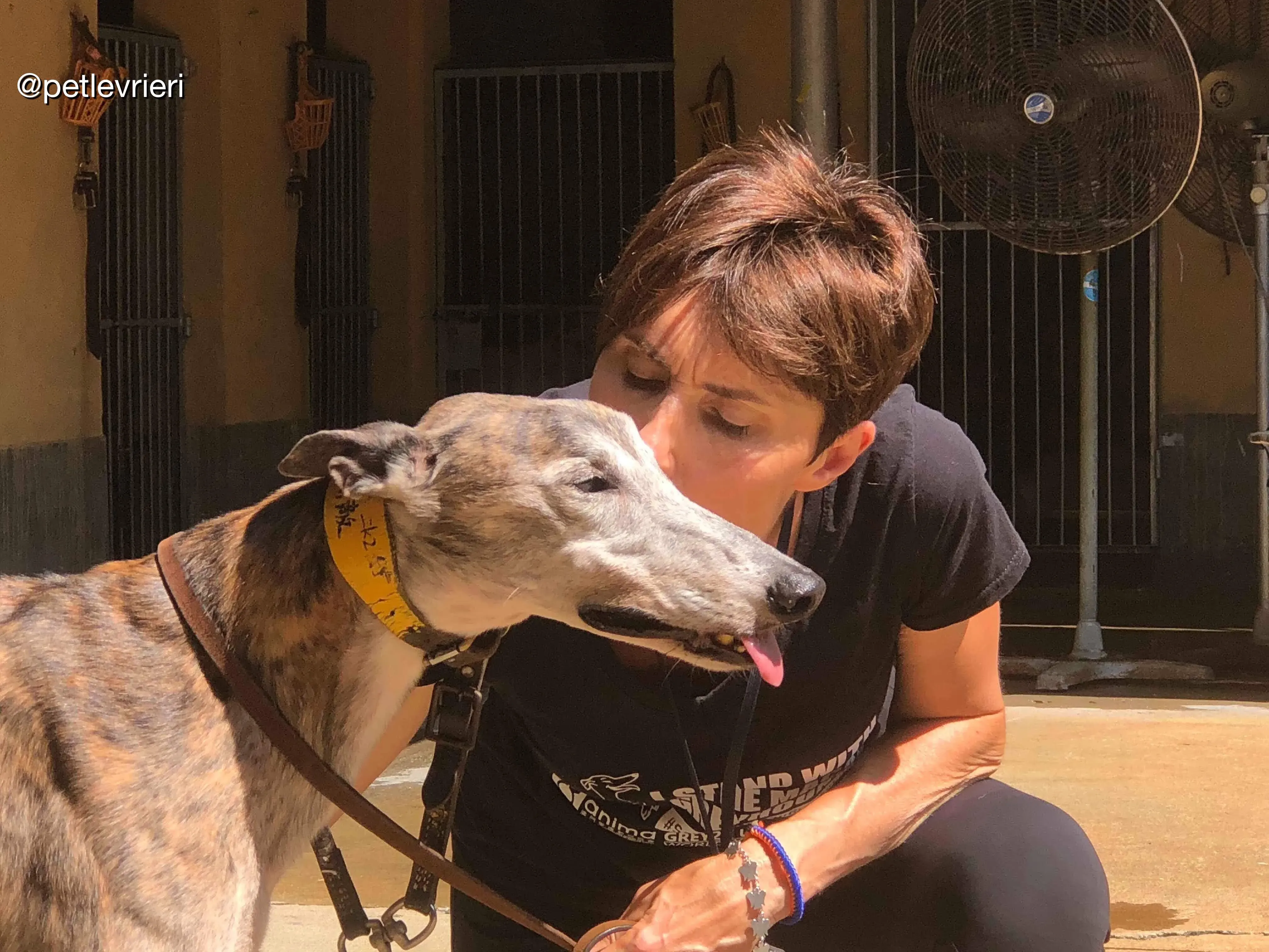 41858740 257365878317603 8322883610117931008 n