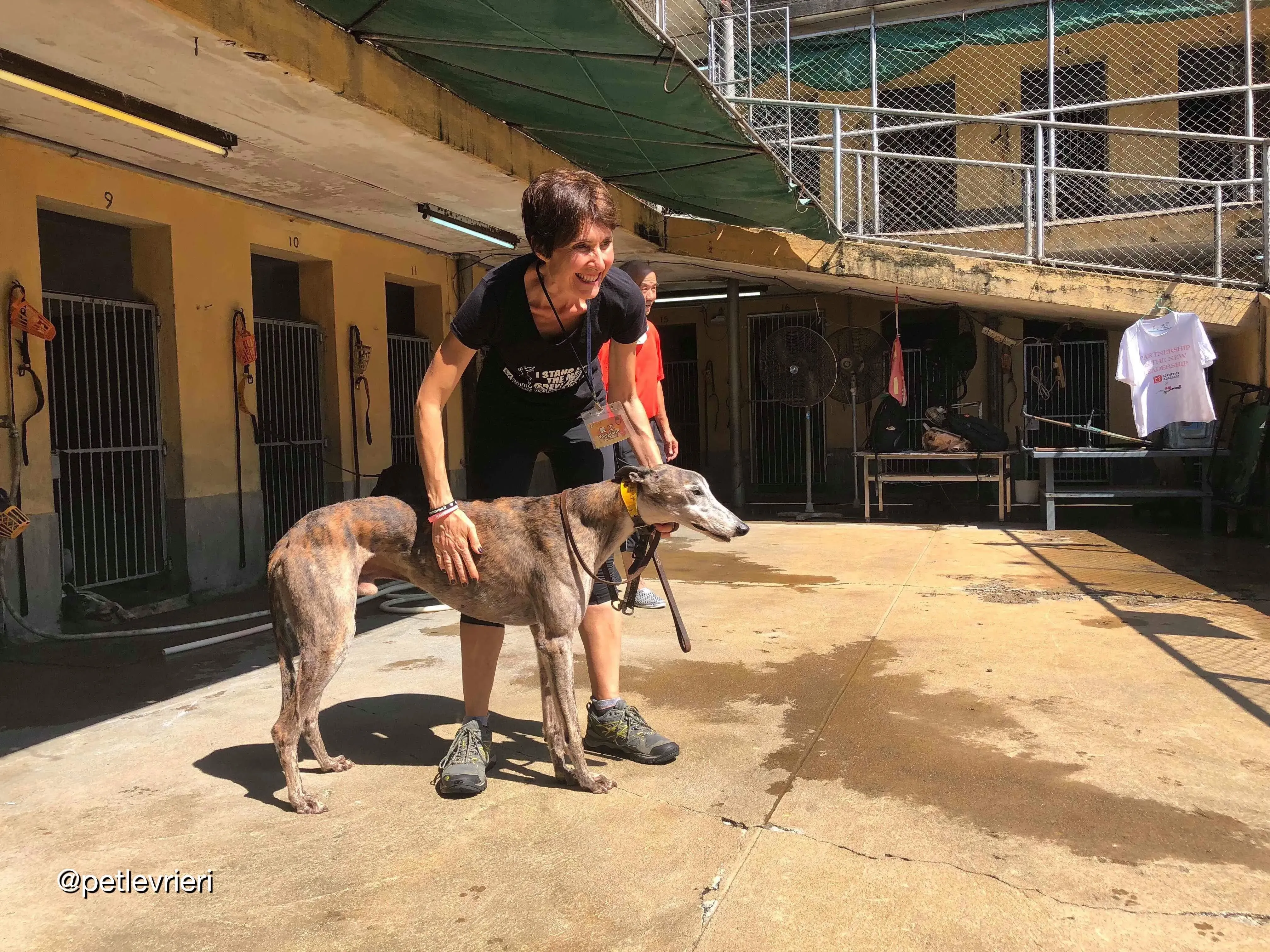 41866302 246018906101497 4054002347746000896 n