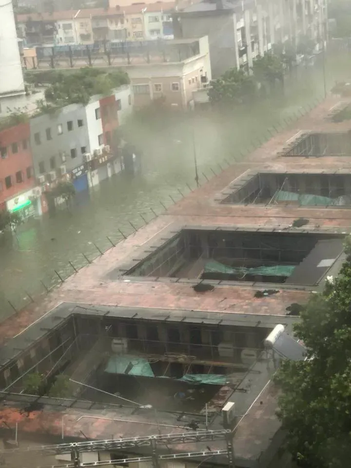 41869213 1949073621850898 8020997089095843840 n