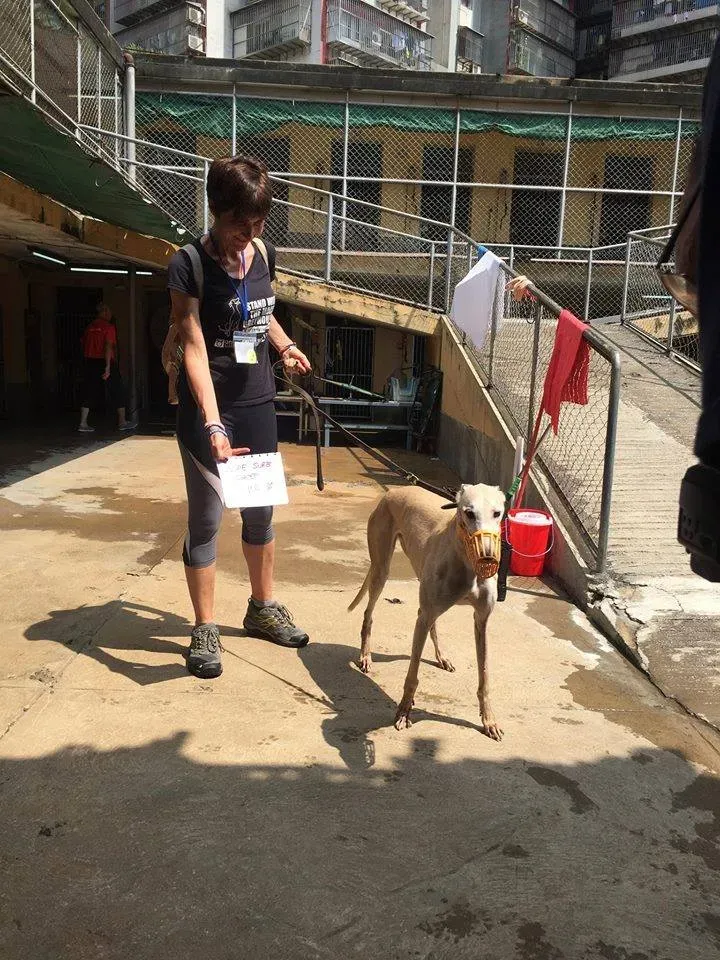 41873123 1895479367202576 2802126518921199616 n