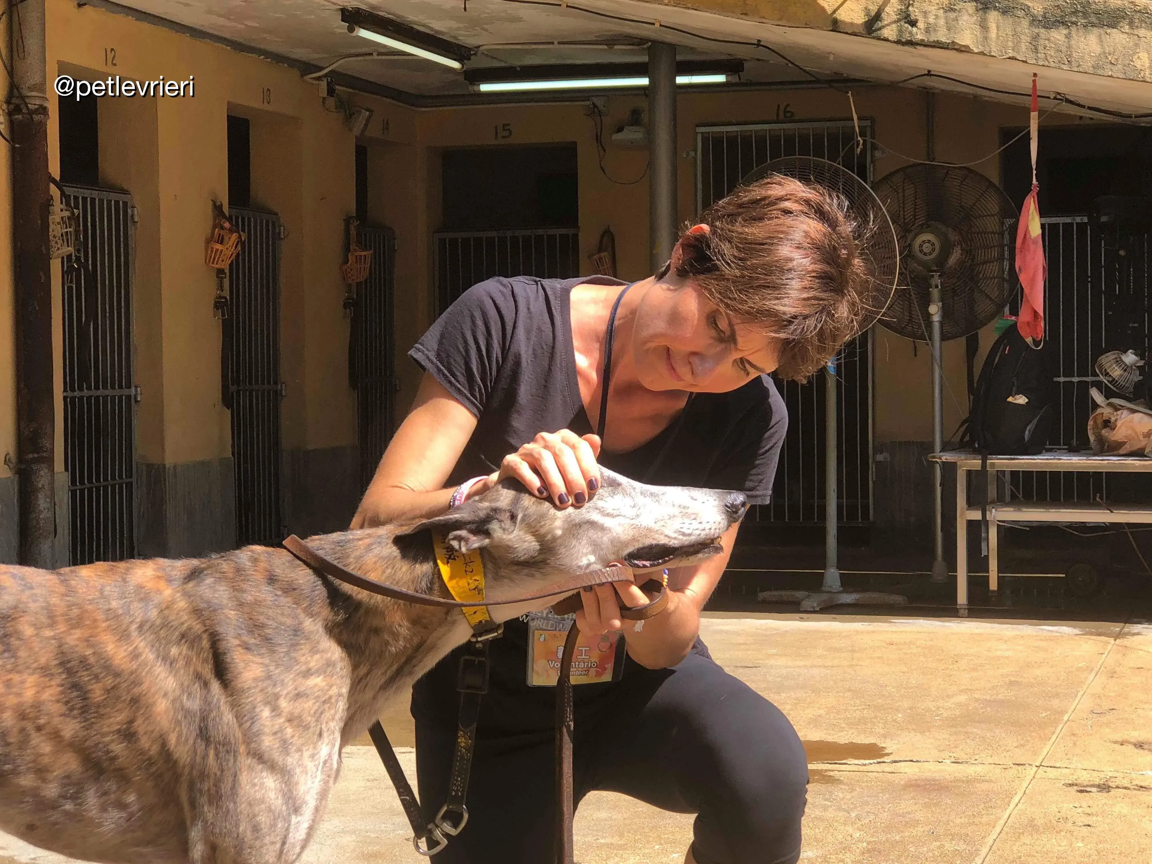 41894007 272712786689372 4385697045608923136 n