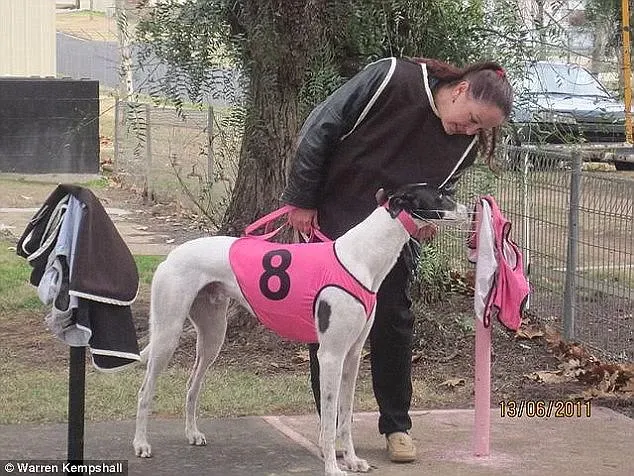 41923B9500000578 4621056 image a 3 1497953934466