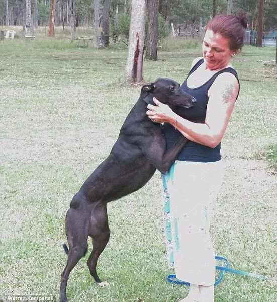 41923B9B00000578 4621056 image a 4 1497953947444