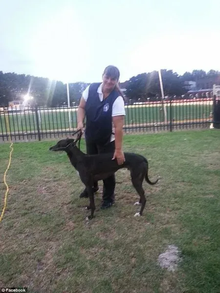 41923BD100000578 4621056 image a 5 1497953958622