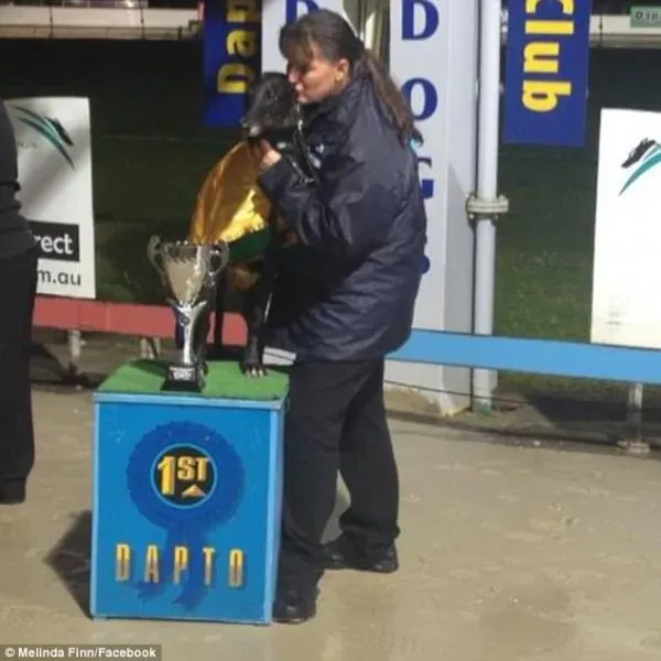 41923BD600000578 4621056 image a 6 1497953967558