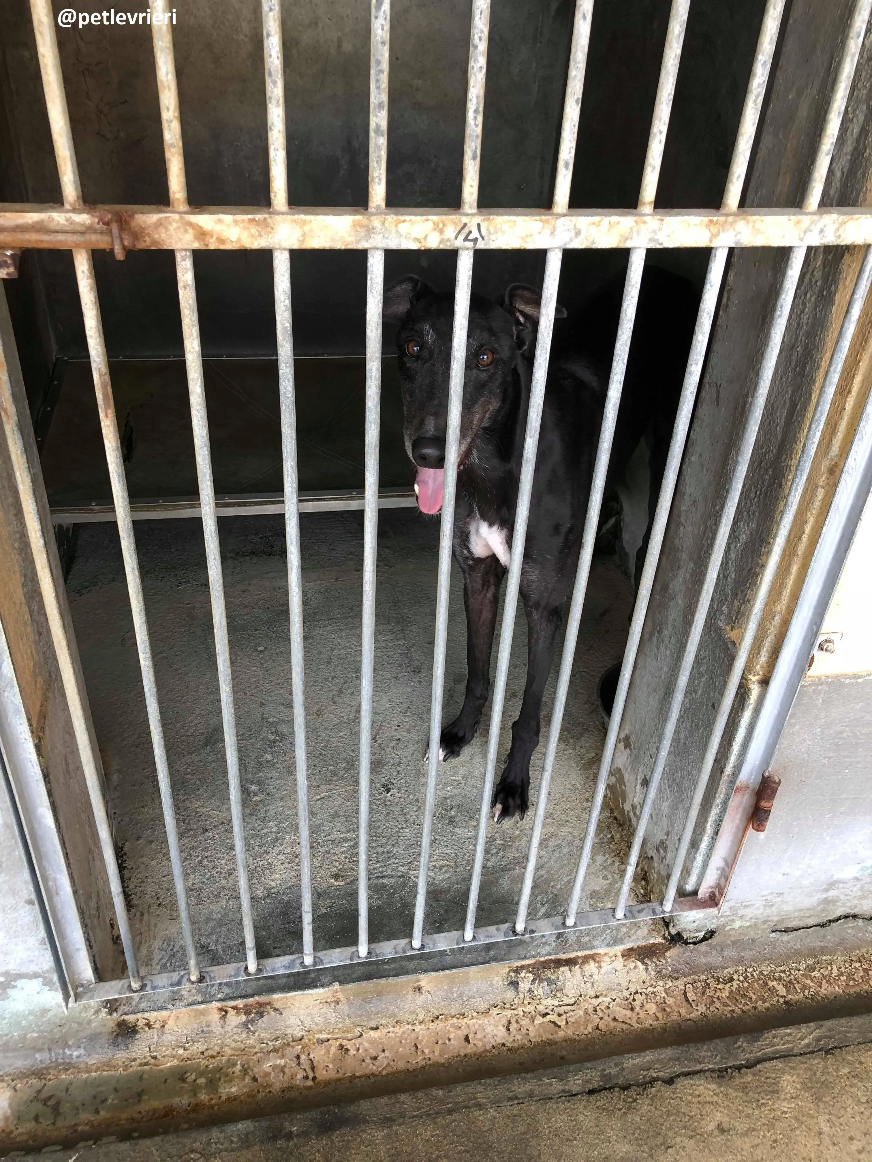 41927422 311213743021134 1755816006795657216 n