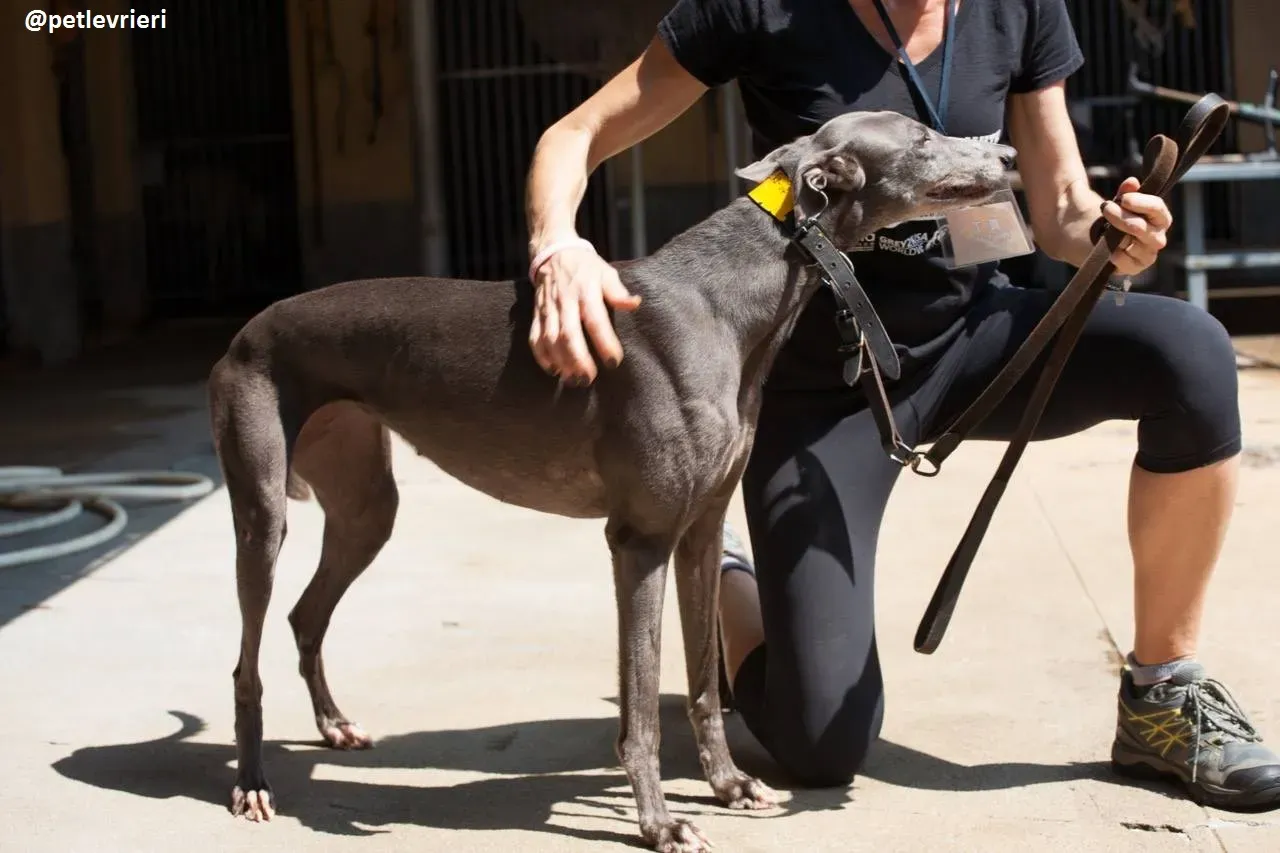 41940913 877445479120549 6694247361687846912 n 1