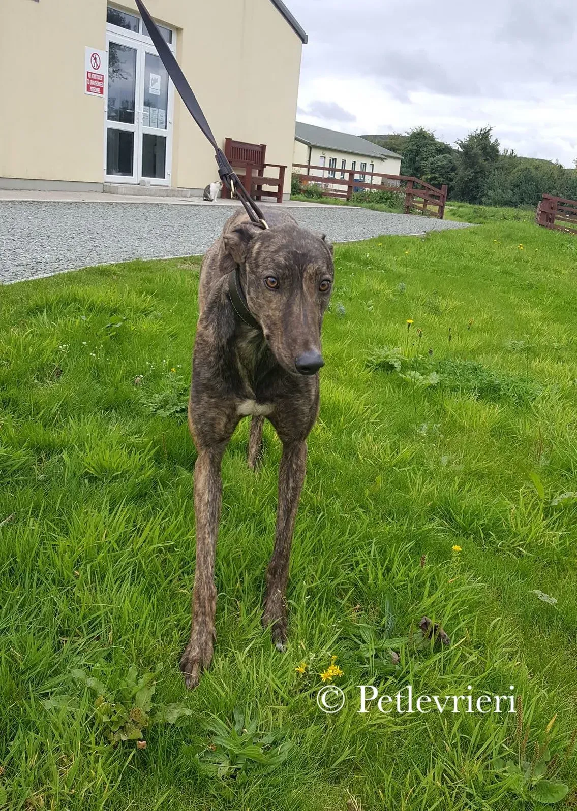 41946033 2096853893962589 6861816601662980096 n