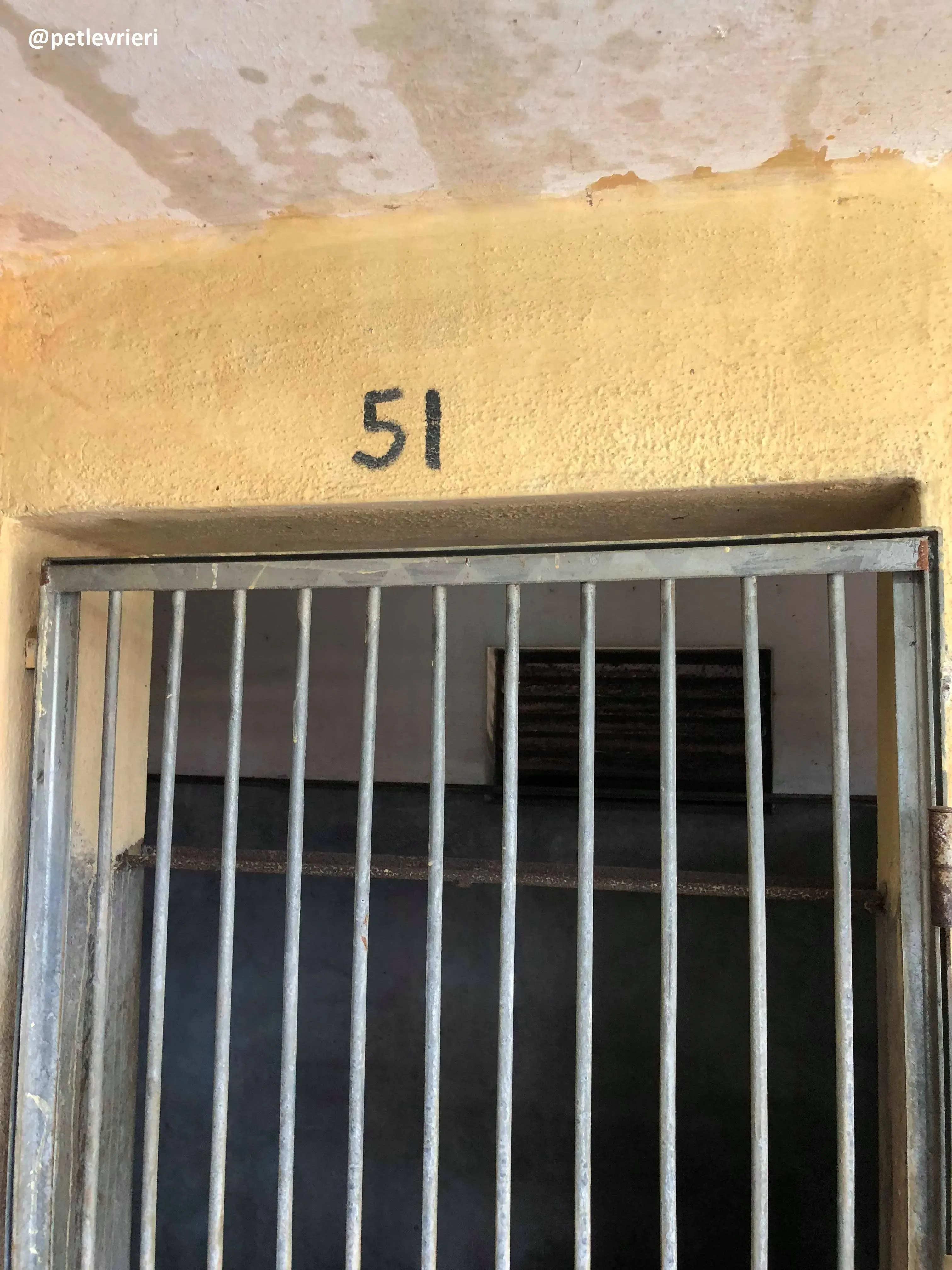 41947534 299701904180670 3484528386246705152 n