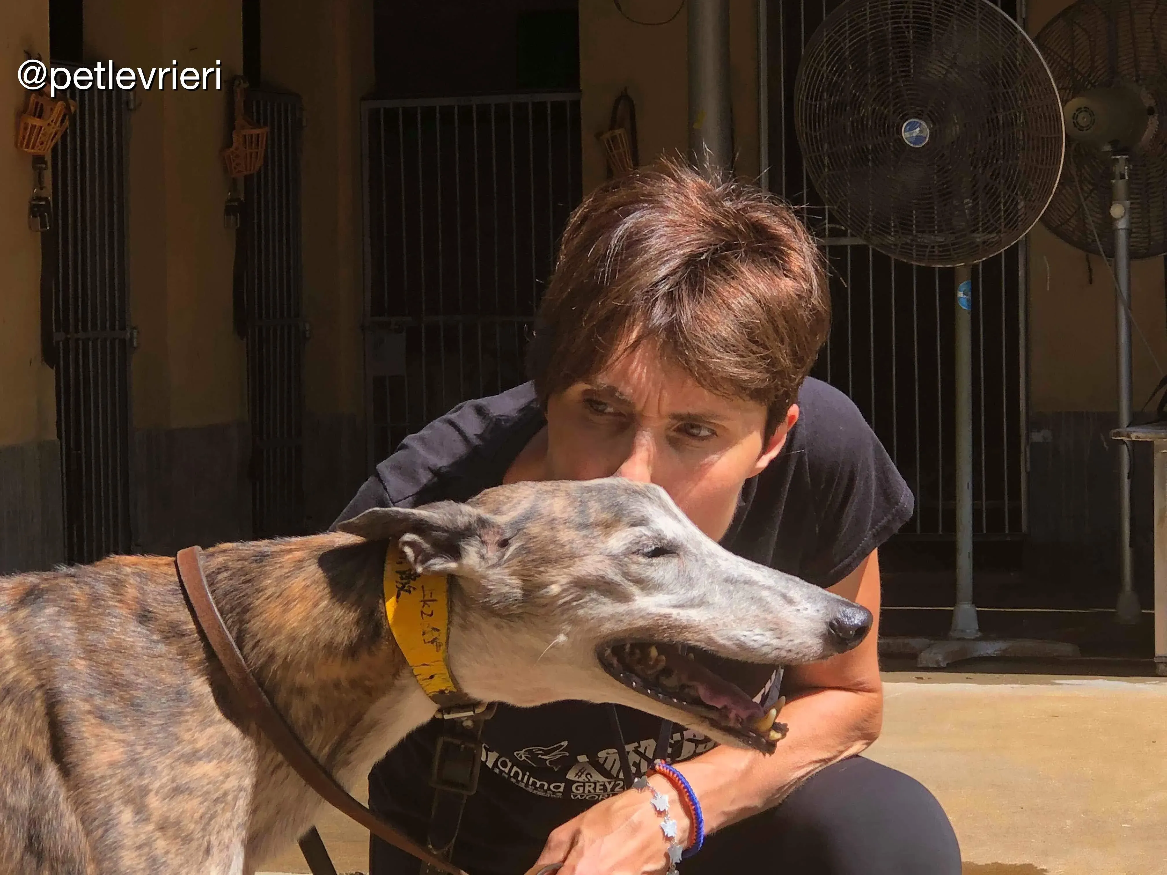 41948678 863165184074181 6286728697001017344 n