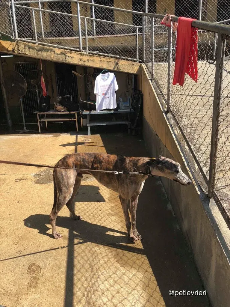 41991154 314144519167478 1963200873504964608 n