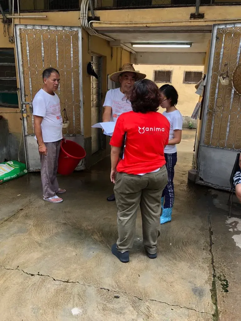 42058866 313756829175618 1496732086168453120 n