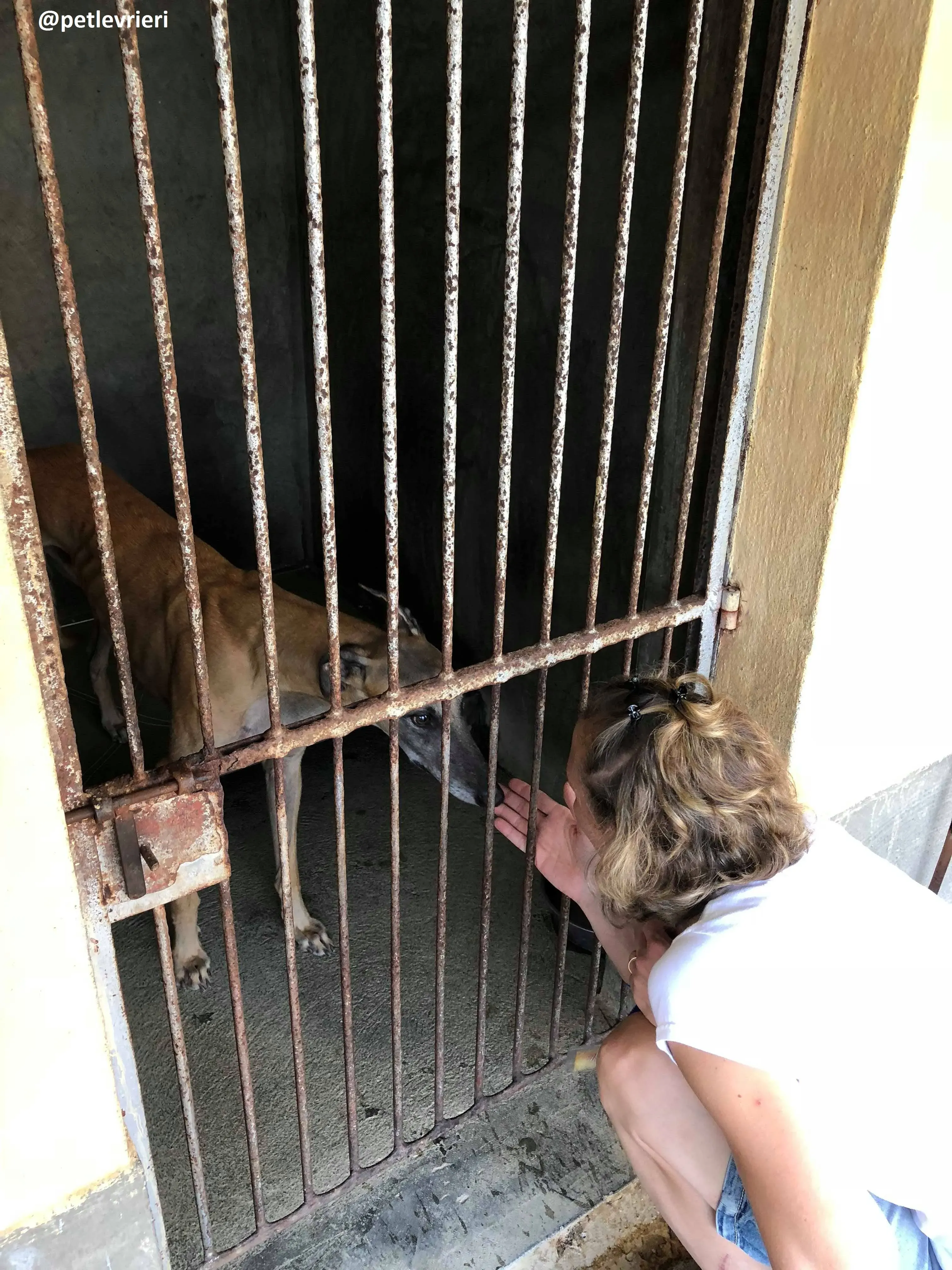 42107416 1030429587117149 4843653542772211712 n