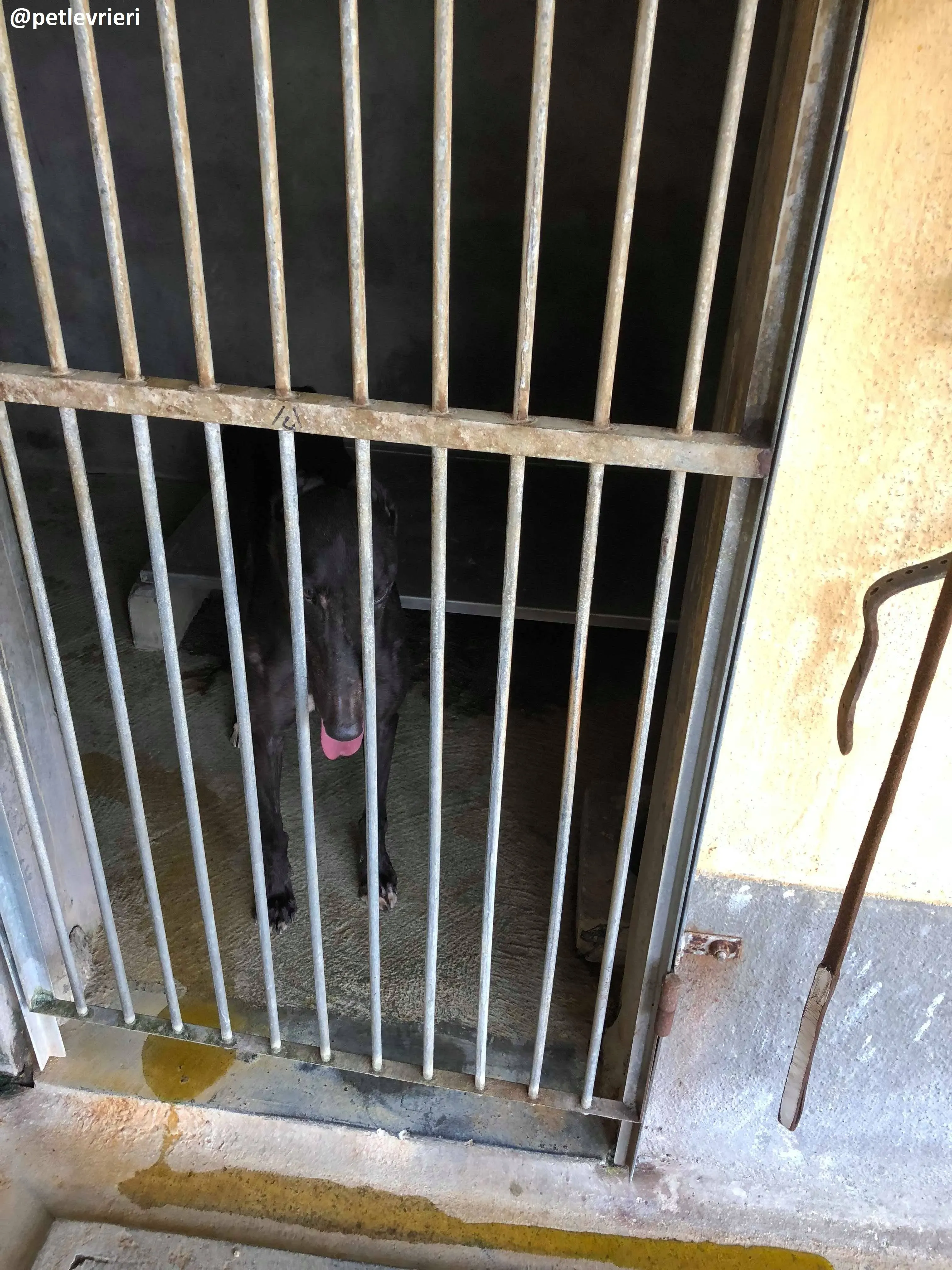 42124237 2148806142112272 572367455196807168 n