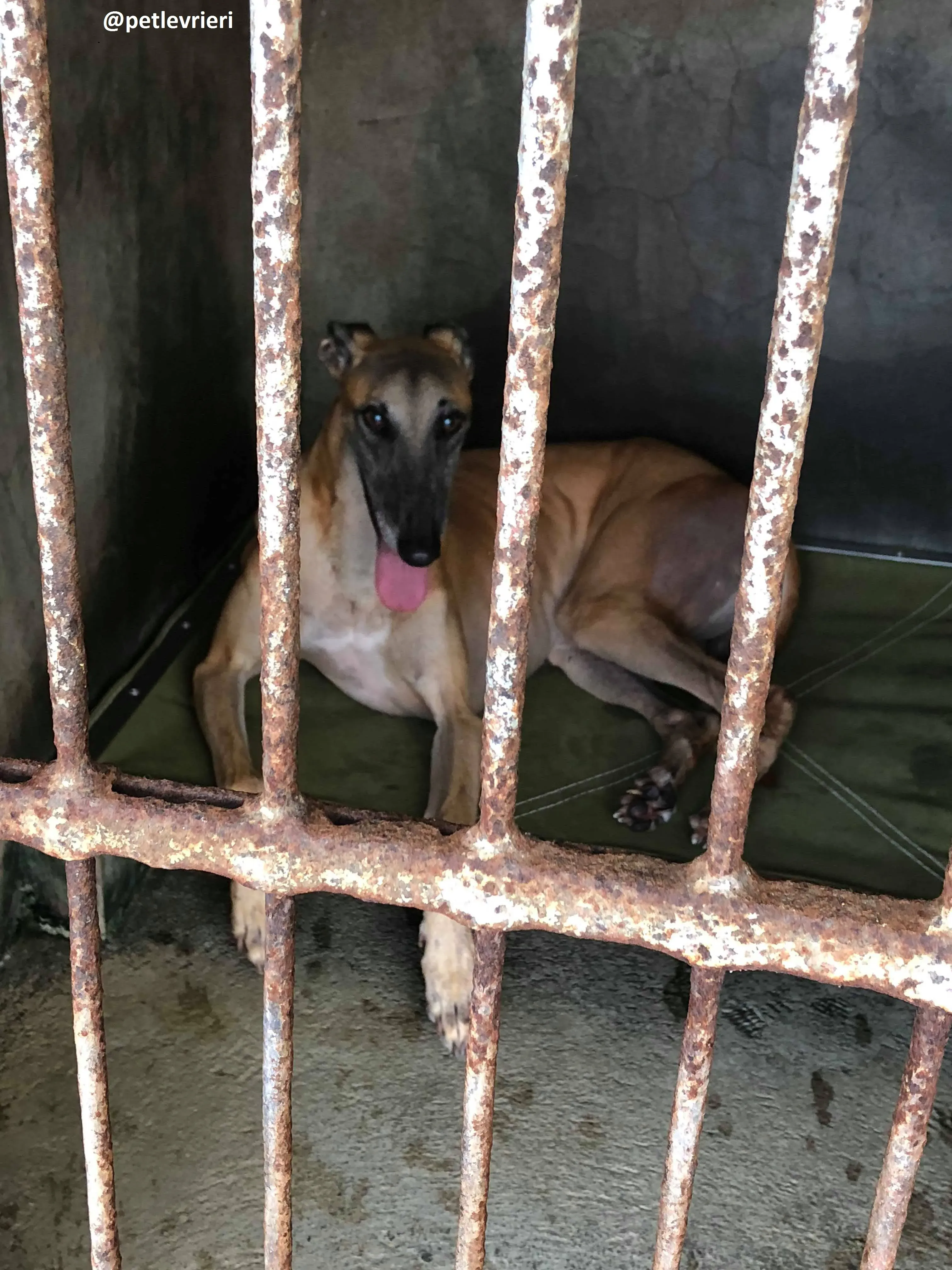 42133584 482304075602828 5763536869291720704 n