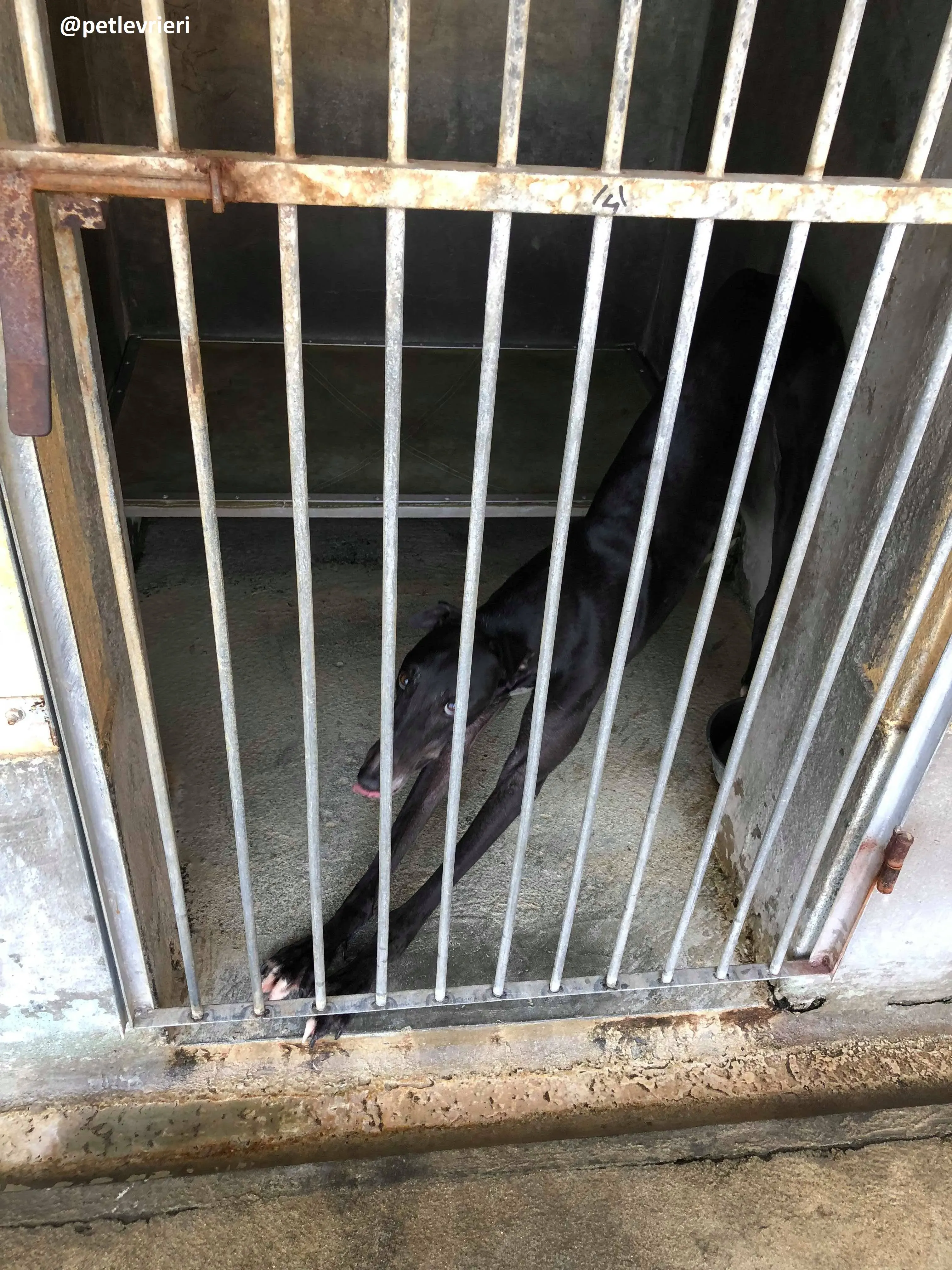 42140337 737630926573410 238673355568316416 n