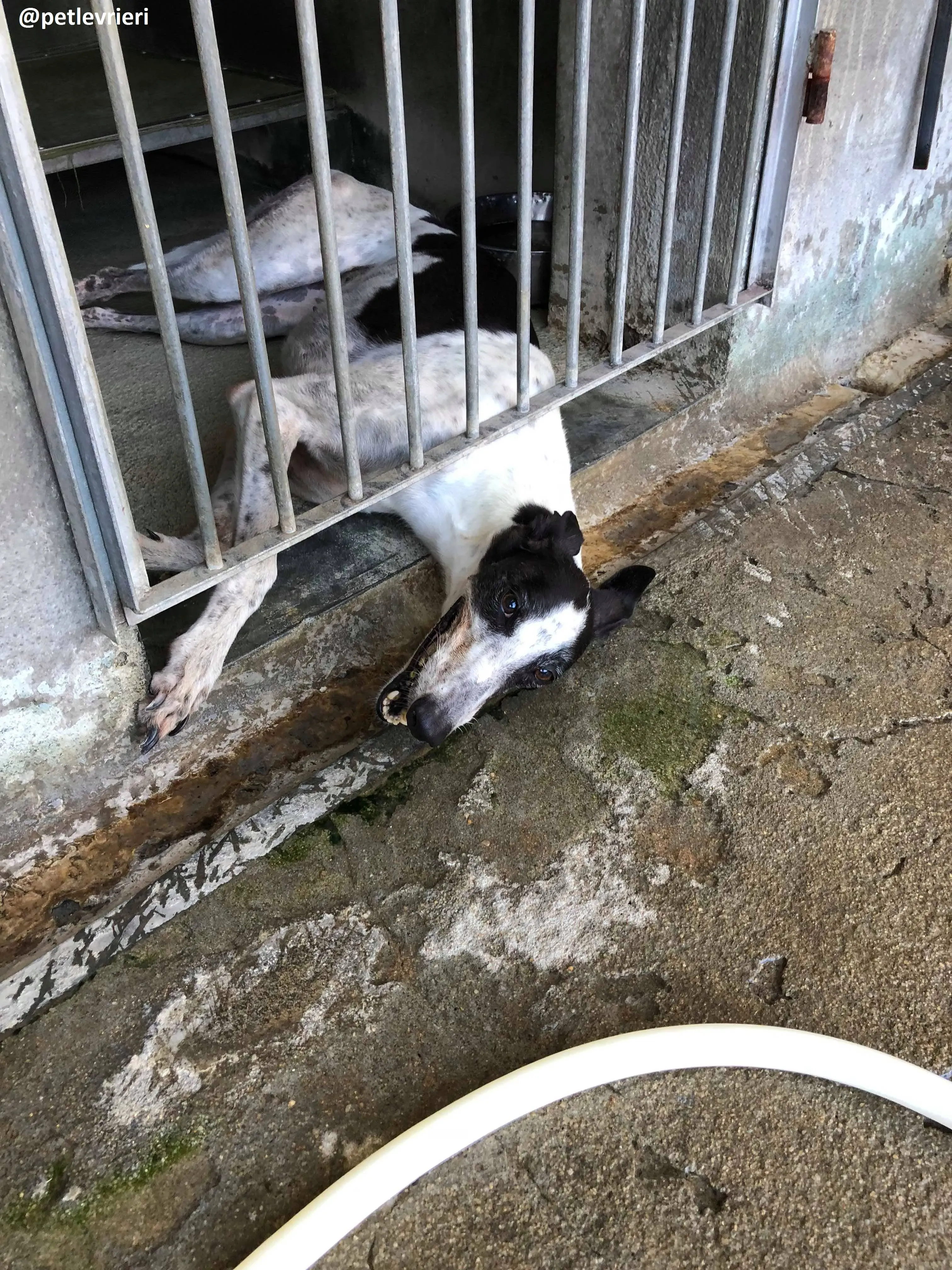 42140707 281153569394726 6368461422132723712 n