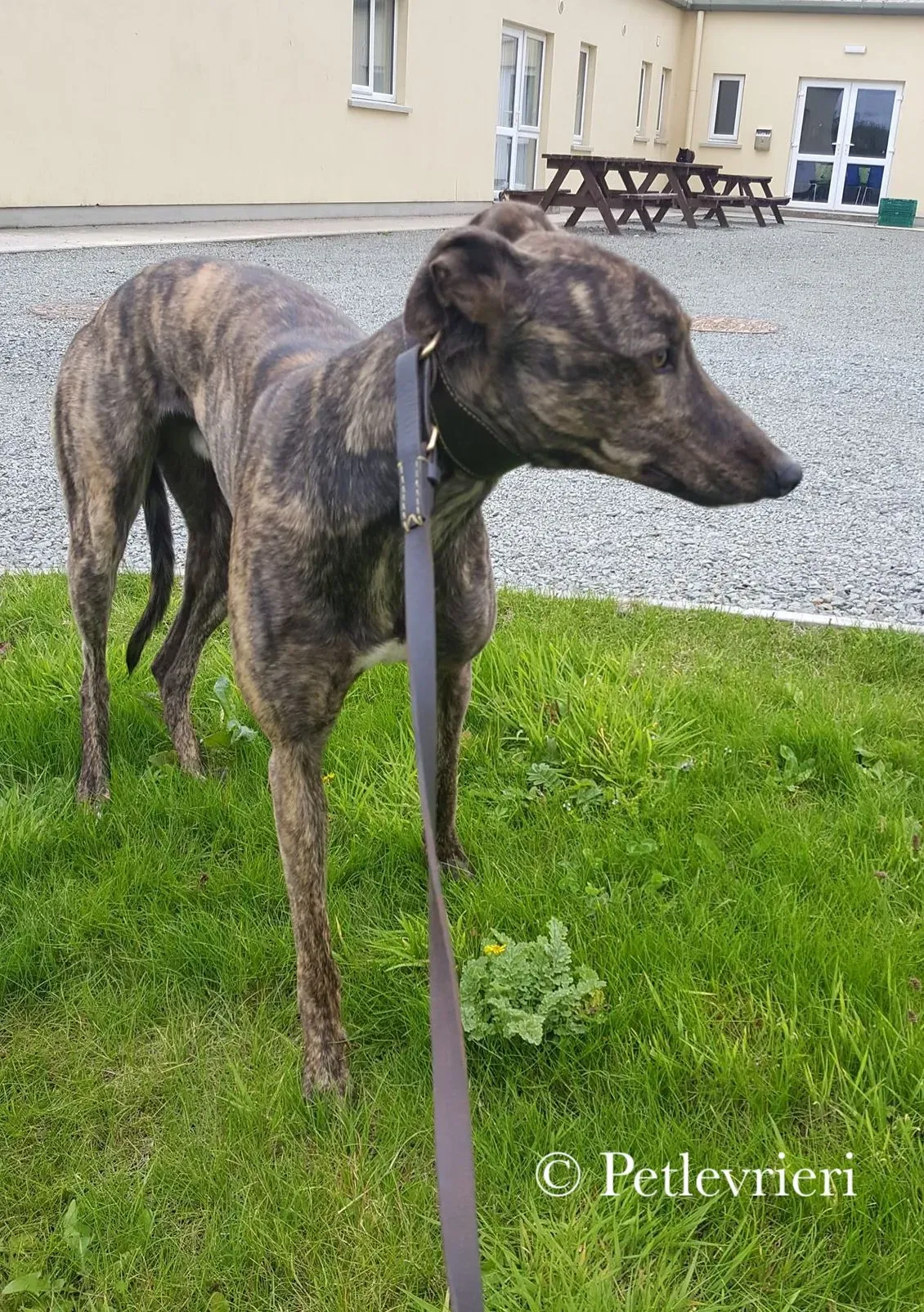 42144608 2008485672544208 2847210326770843648 n