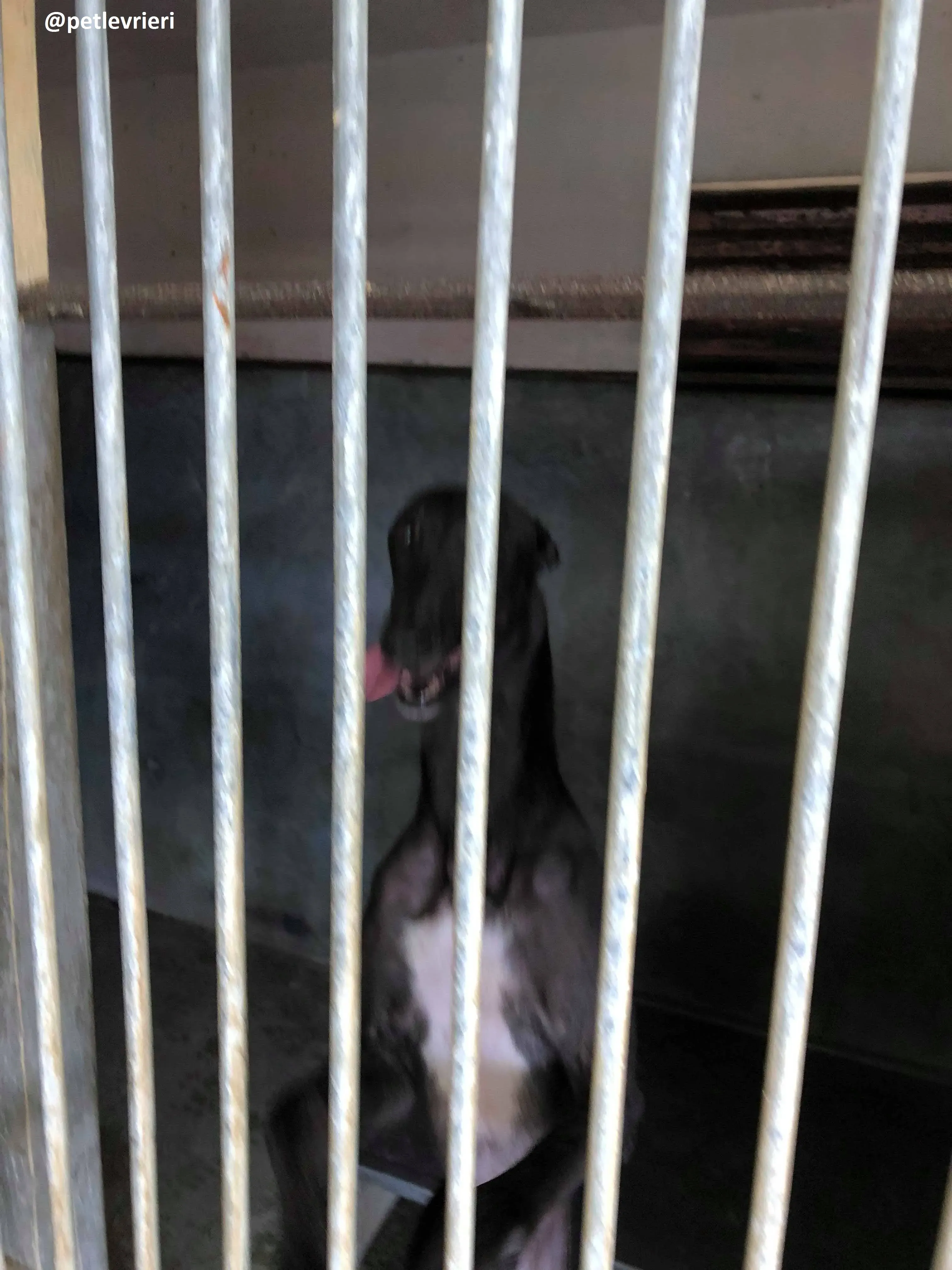 42149045 454437108398596 5354988898512535552 n