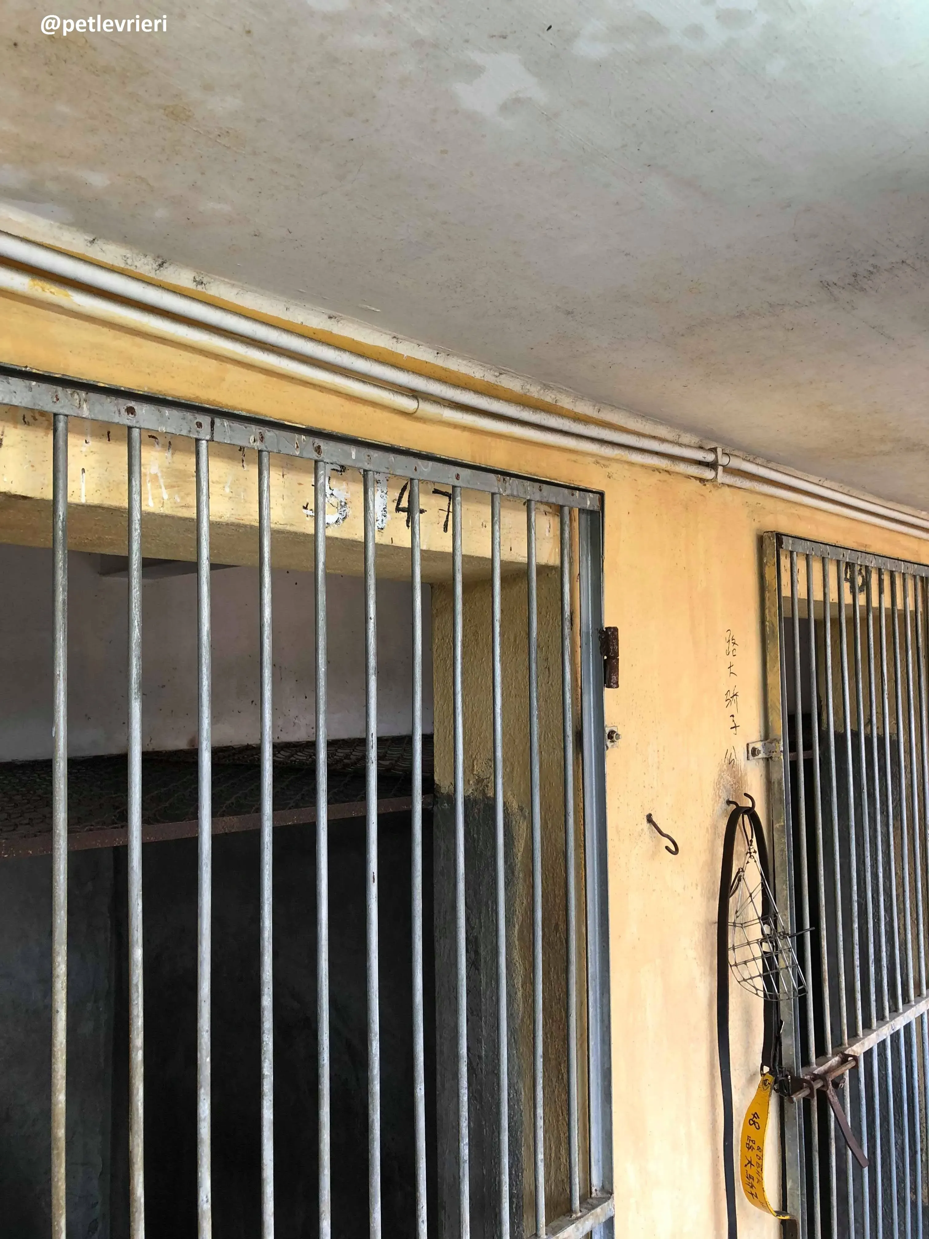 42164657 2107028019316360 6556953298937577472 n