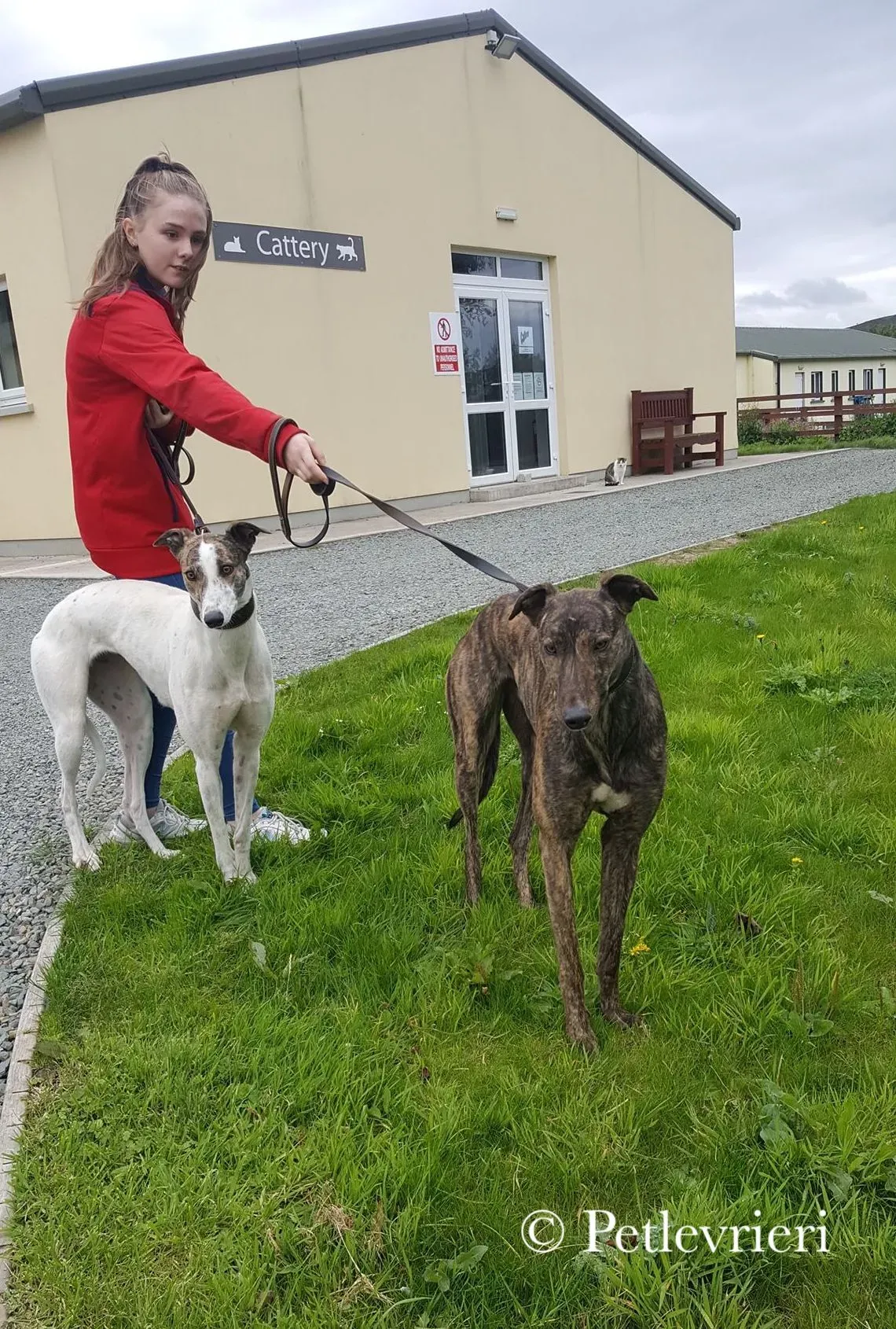 42174028 1871261552990680 6540933547664867328 n