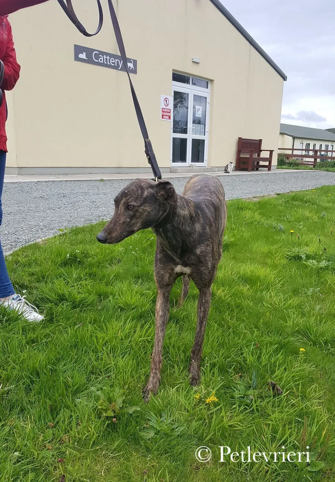 42186852 1871300082959402 5253477844687781888 n