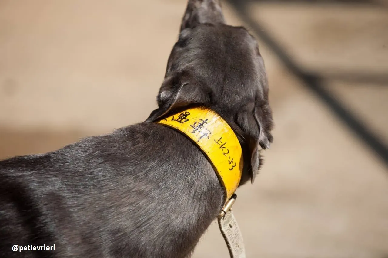 42189897 341096879798589 1508160951193436160 n