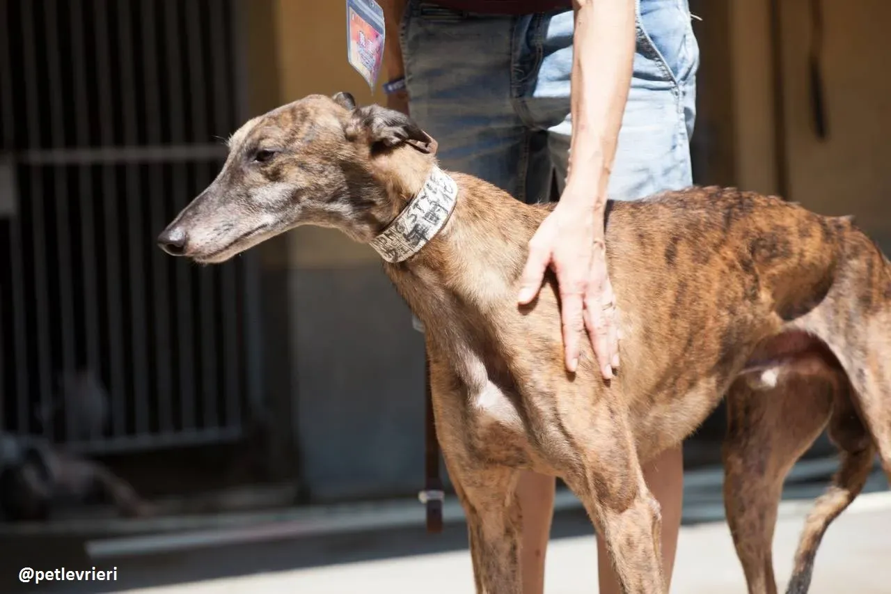 42193664 482157842286145 2591647536297017344 n