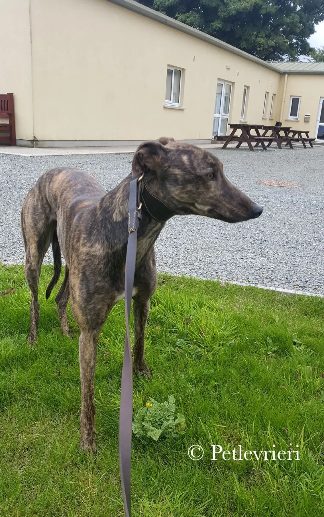 42194730 298659920948272 4998092109945765888 n