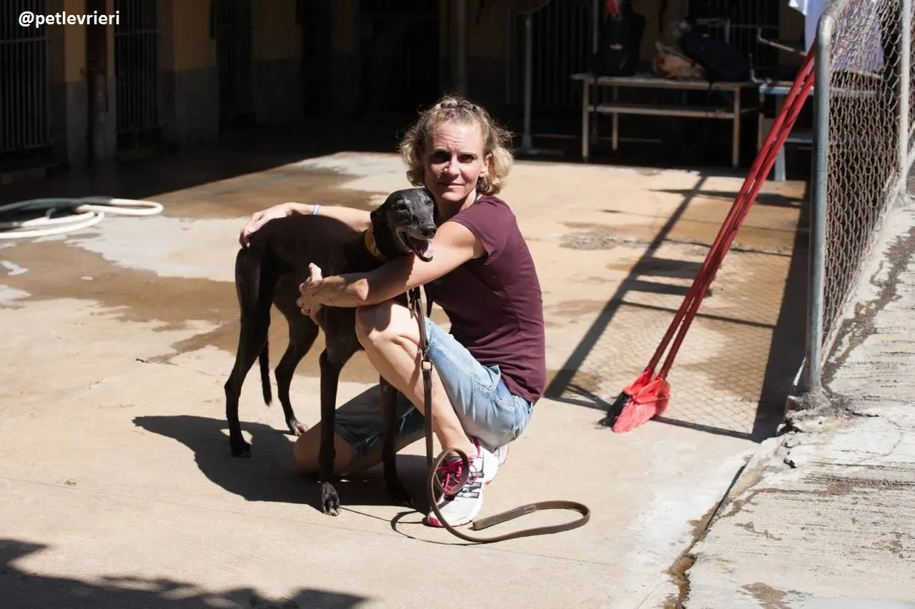 42195027 265499847409172 2563749348592582656 n