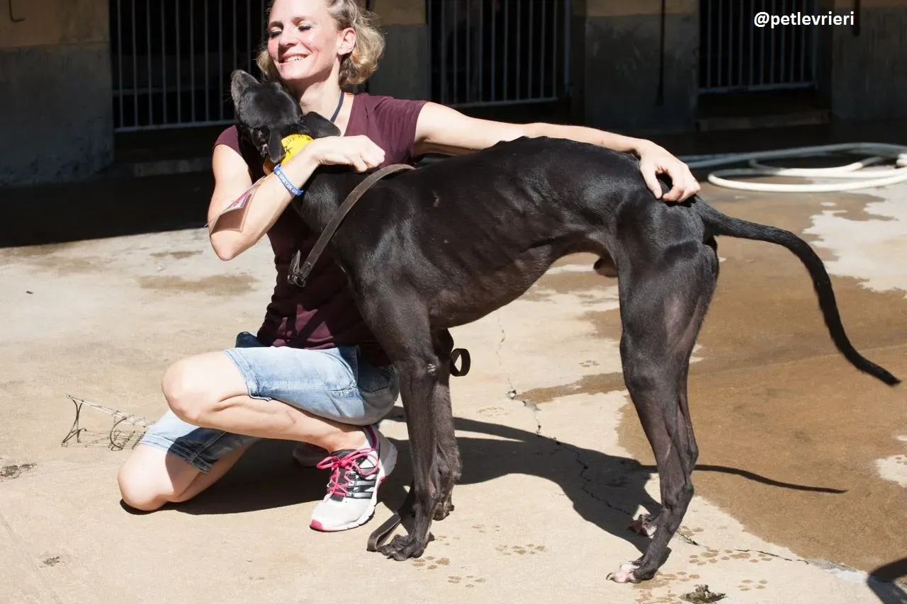 42196381 2056841097711378 6872568609906884608 n