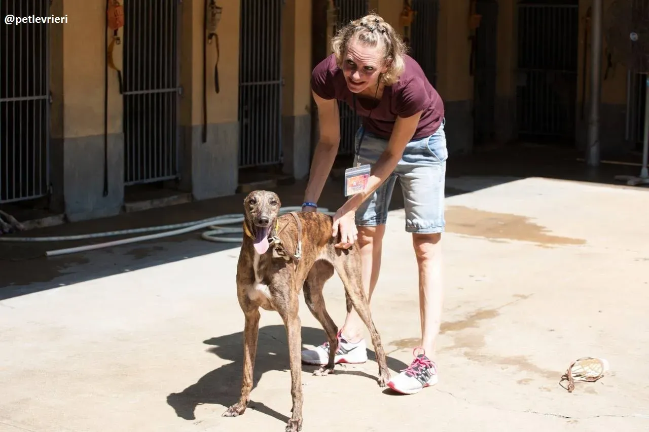 42197766 319415445487529 1350679326676221952 n