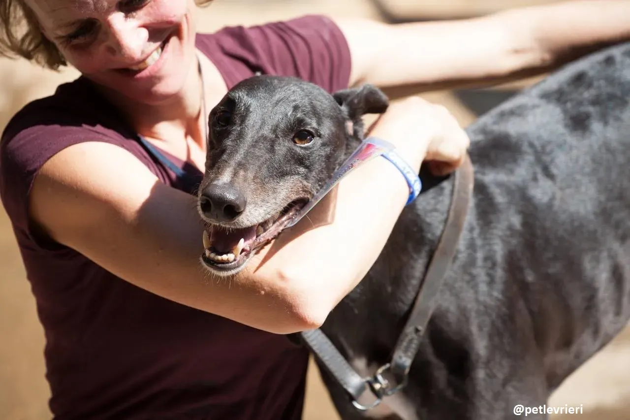 42199226 2085926191417930 8856447165371777024 n