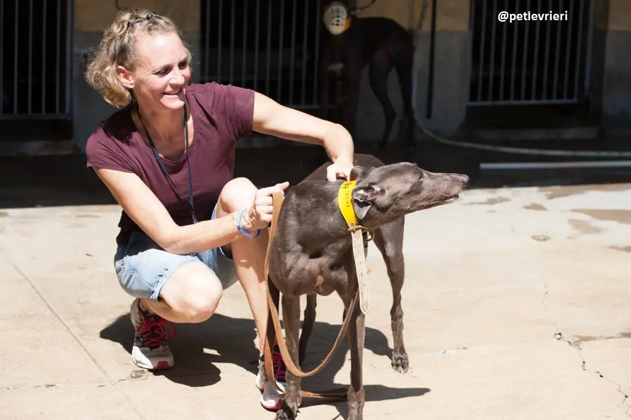 42199247 495245157619893 7947419982873231360 n