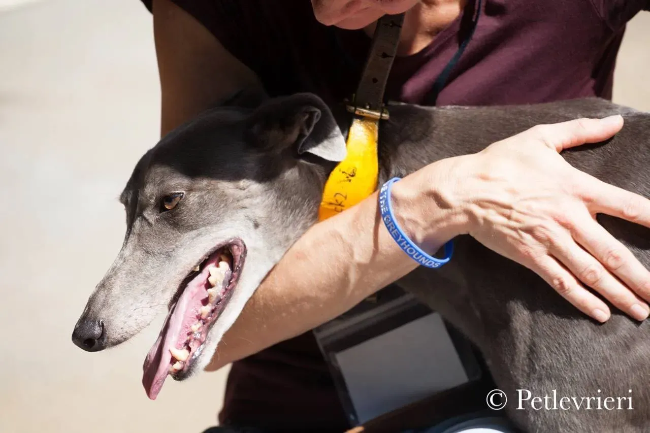 42199568 510624949406731 1843055292317696000 n