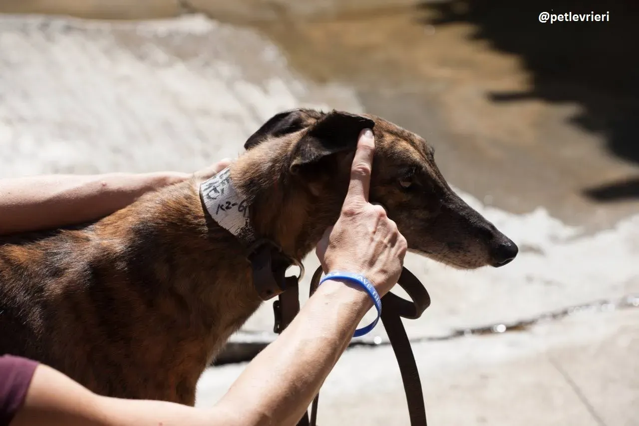 42200217 1366534206835472 4414949049954729984 n