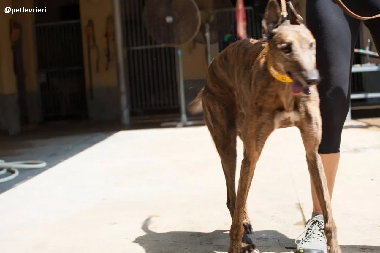 42200784 308557959932028 763123084709330944 n