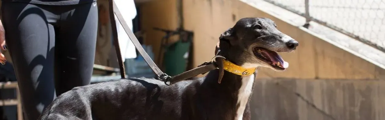 42200811 2190490211275933 6936309721330614272 n 1 e1542998957630