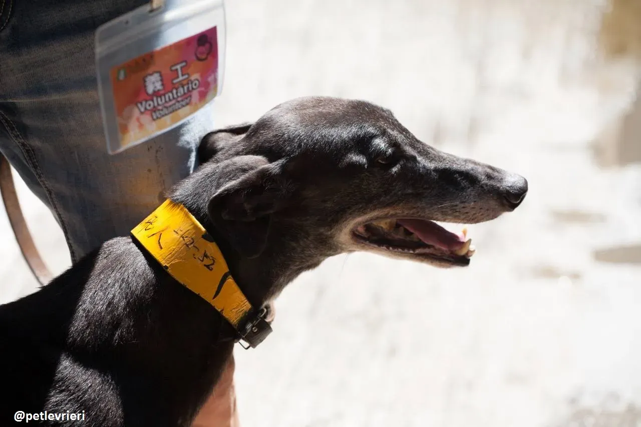 42200851 557214388046714 7416475477201649664 n