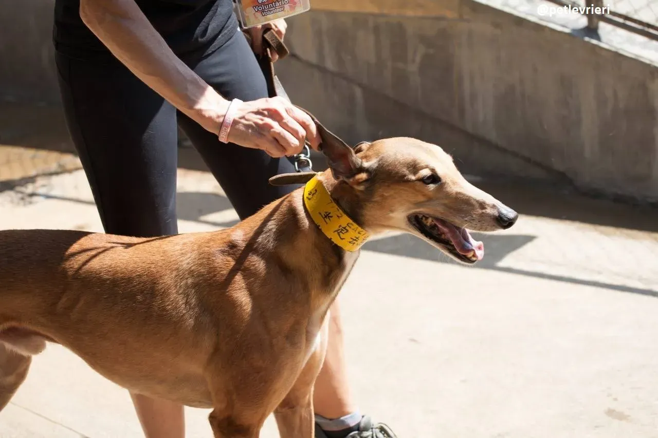 42201310 257799321743939 5427914853333336064 n