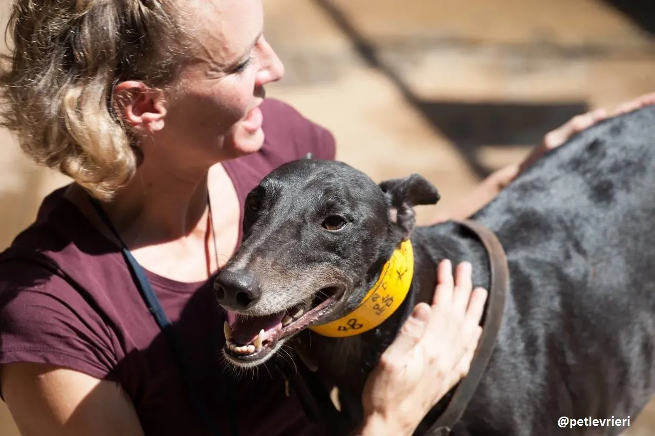 42201373 339126086656939 1659050728624226304 n