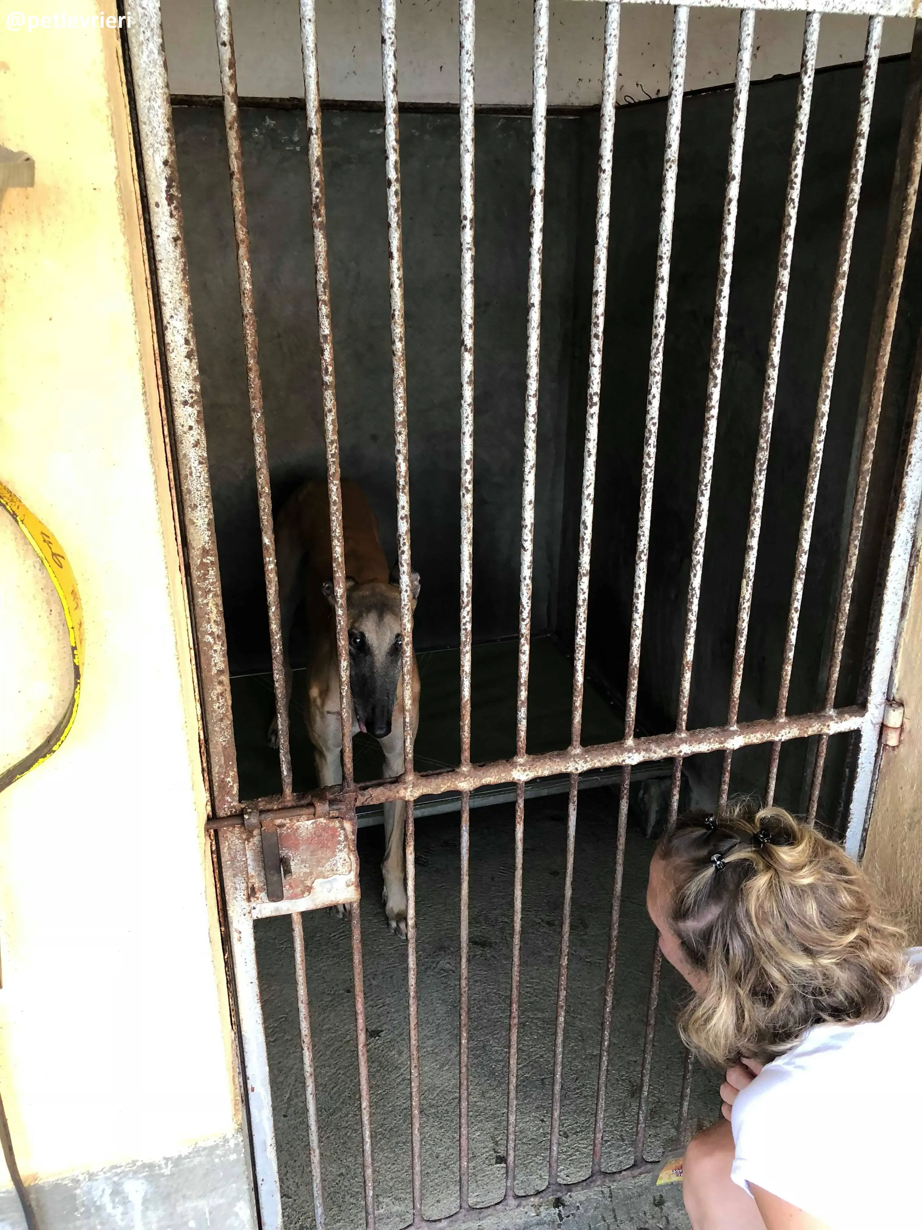 42202102 985936374924696 4125680249495093248 n