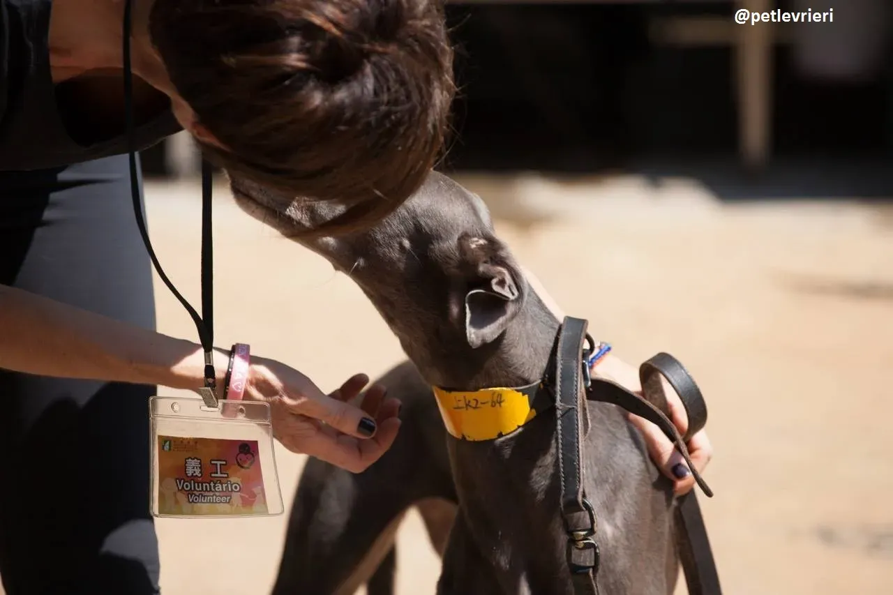 42204397 247289712655900 3664518521318014976 n