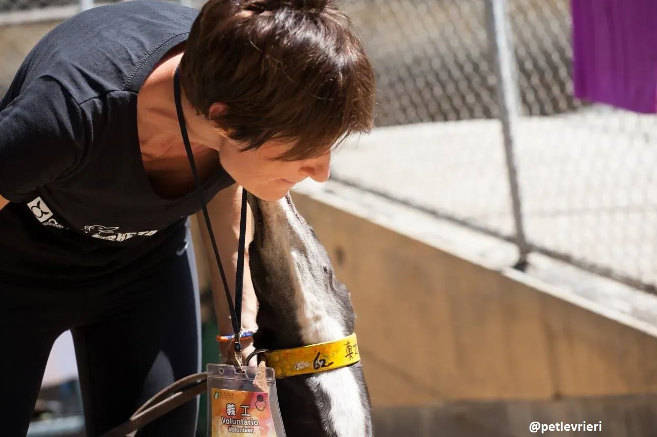 42204424 534672060306924 1975111762709577728 n 1